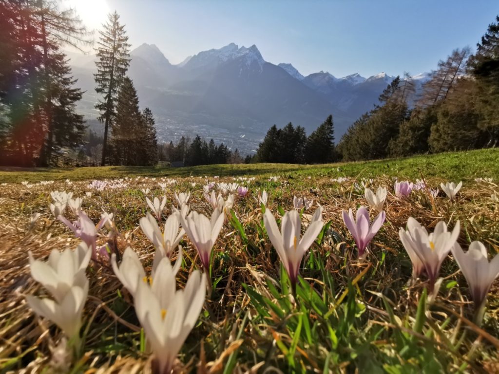 Karwendel Urlaub im Frühling - eine tolle Zeit, die nur wenige Besucher nutzen